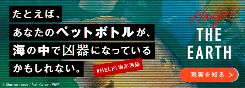 お魚ガイド関連情報 巻き網漁法や刺し網漁法など さまざまな漁法の解説 Wwfジャパン お魚ガイド関連情報 巻き網漁法や刺し網漁法など さまざまな漁法の解説 Wwfジャパン