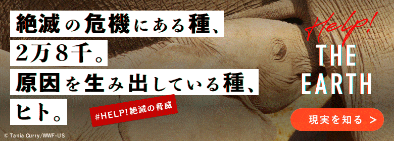 これを読めばトラ博士 絶滅危惧種トラの生態や亜種数は Wwfジャパン これを読めばトラ博士 絶滅危惧種トラの生態や亜種数は Wwfジャパン
