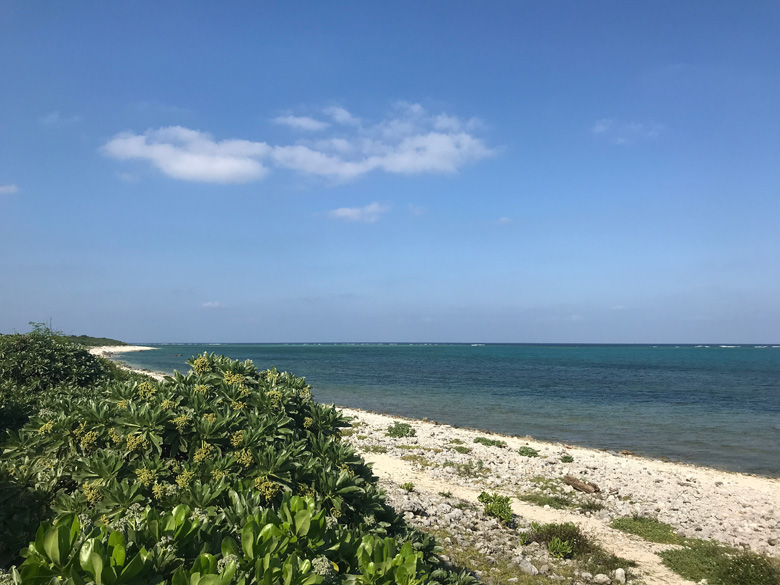 白保海岸の様子
