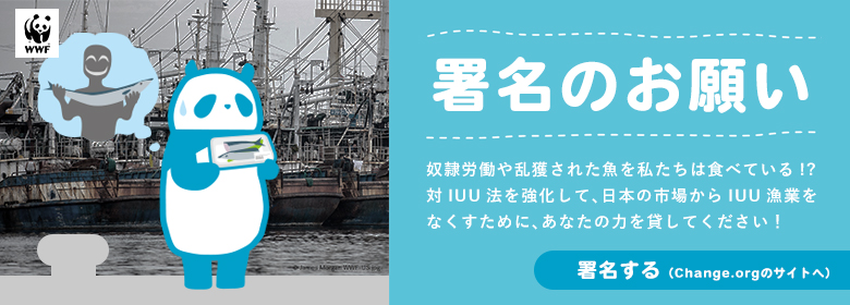 署名のお願い：Change.orgのサイト：12/1施行の新法は不十分！奴隷労働や違法漁業由来の魚は食べたくない――。日本の市場からIUU漁業をなくすために、あなたの力を貸してください！