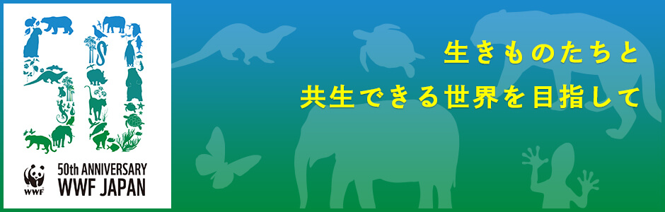 2021年、WWFジャパンは50周年を迎えます