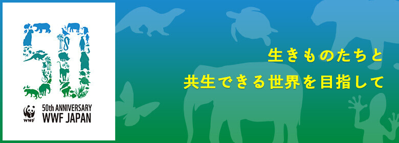 WWFジャパンの発足から現在に至るまでの50年間の歩みを、生きものたちを通してご紹介します