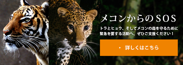 https://www.wwf.or.jp/campaign/da/