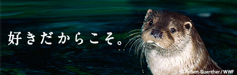 好きだからこそ。