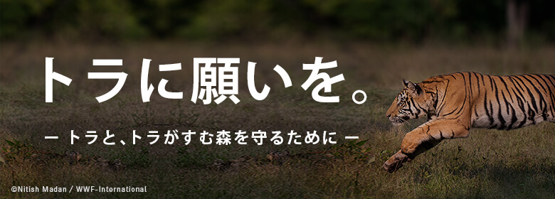 これを読めばトラ博士 絶滅危惧種トラの生態や亜種数は Wwfジャパン