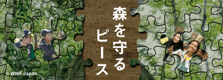 森と、そこに生きる野生動物たちを守るため、WWFの森林保全活動をご支援ください