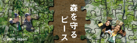 【期間限定】WWFの森林保全活動にご寄付をお願いいたします