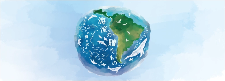 海流の贈りもの