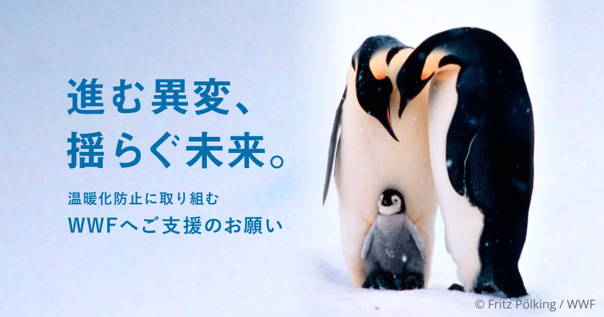 ご寄付のお願い　進む異変、揺らぐ未来。