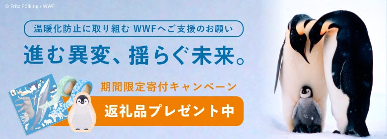 期間限定寄付キャンペーン「進む異変、揺らぐ未来。」