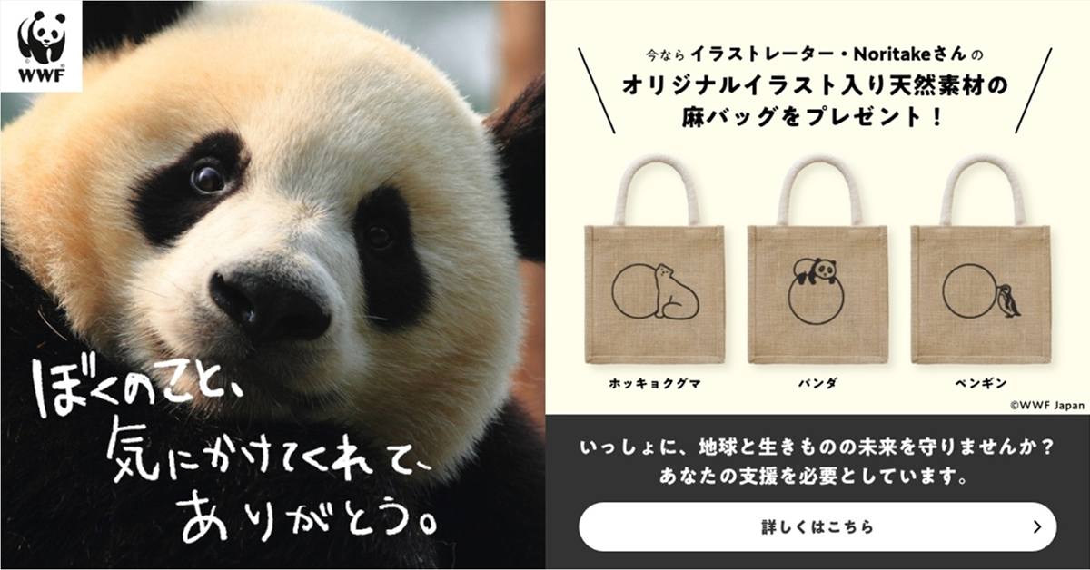 ご寄付のお願い：My 1st support