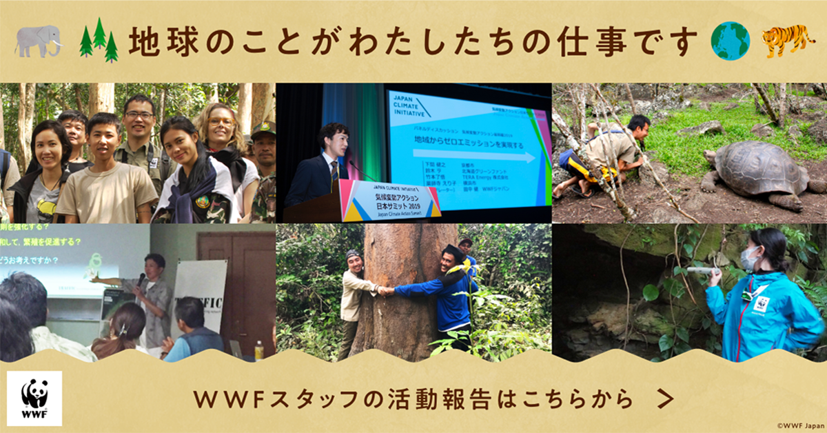 ご寄付のお願い：地球のことがわたしたちの仕事です