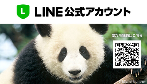 LINE