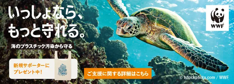 海のプラスチック汚染から守るキャンペーンバナー