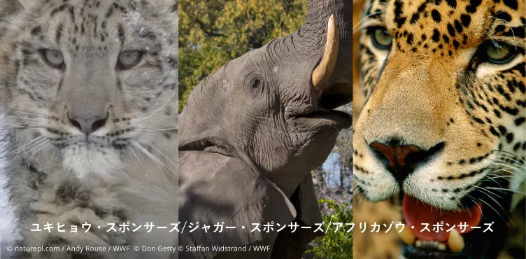 「アドプト制度」が月1,000円からご支援いただけるようになりました。