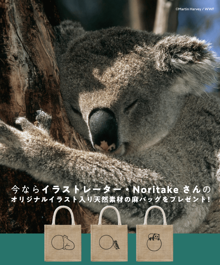イラストレーター・Noritakeさんのオリジナルイラスト入り天然素材の麻バッグプレゼント中！