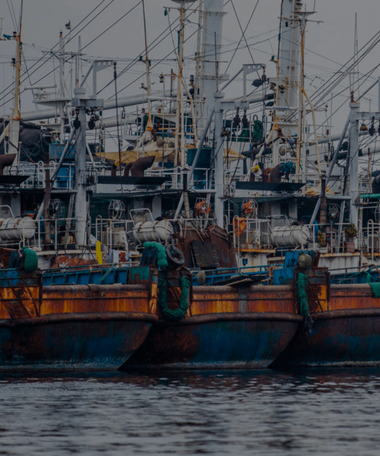 日本の市場からIUU漁業をなくすために、あなたの力を貸してください！