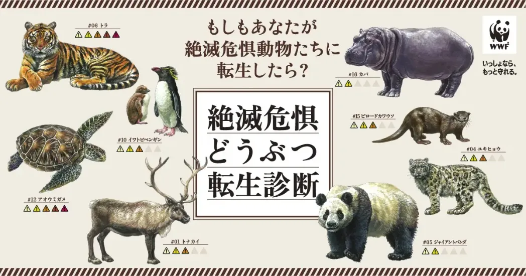 「もし絶滅危惧動物に転生したら?」という設定で、あなたの転生後の動物を診断できるサイトを公開中。診断される絶滅危惧動物は全16種。ぜひお試しください。