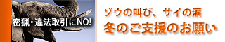 密猟・違法取引にNO！冬のご支援のお願い