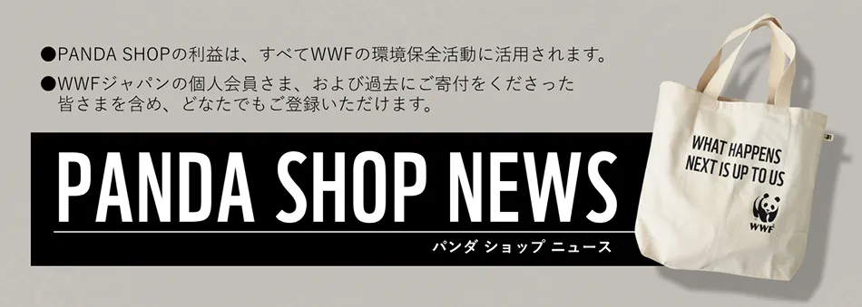 メールマガジンの登録