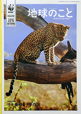WWF会報