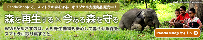 WWFジャパ
ン 2010年冬のご支援のお願い