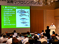20100803a.jpg