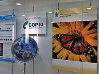 20101015d.jpg