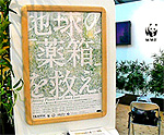 20101019b.jpg