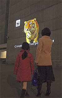 20101124e.jpg