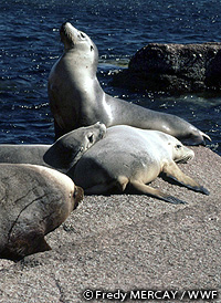 20110106a.jpg
