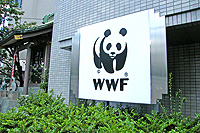 20110201a.jpg