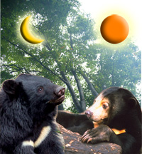 20110210b.jpg