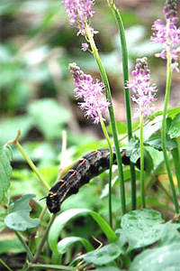 20110211a.jpg