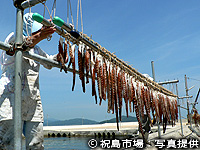 20110308a.jpg
