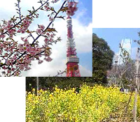 20110308c.jpg