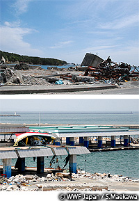 20110517a.jpg
