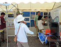20110615a.jpg