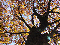 20111222ax.jpg