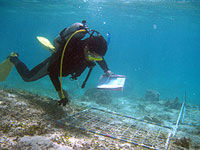 20120207a.jpg