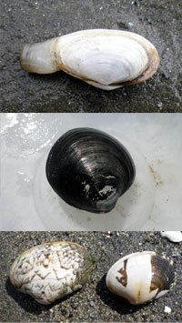 20120409blog3.jpg