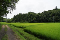 20120604blog2.jpg