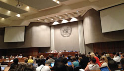 20120904c.jpg