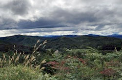 20121012b.jpg