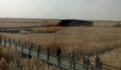 20121204m.jpg