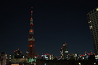 20120331c.jpg