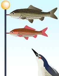 20120505a.jpg