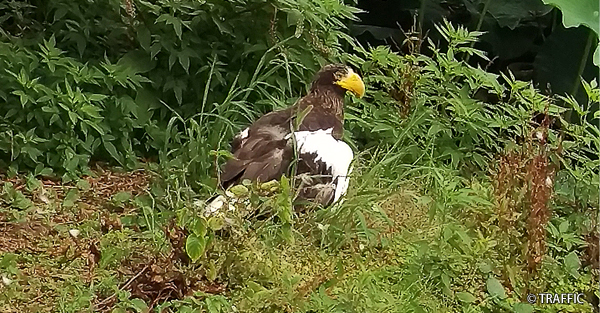 知られざる動物園イメージ