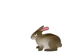 usagi.jpg